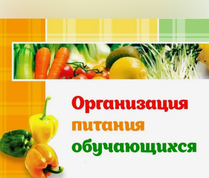 Информация об условиях питания обучающихся.