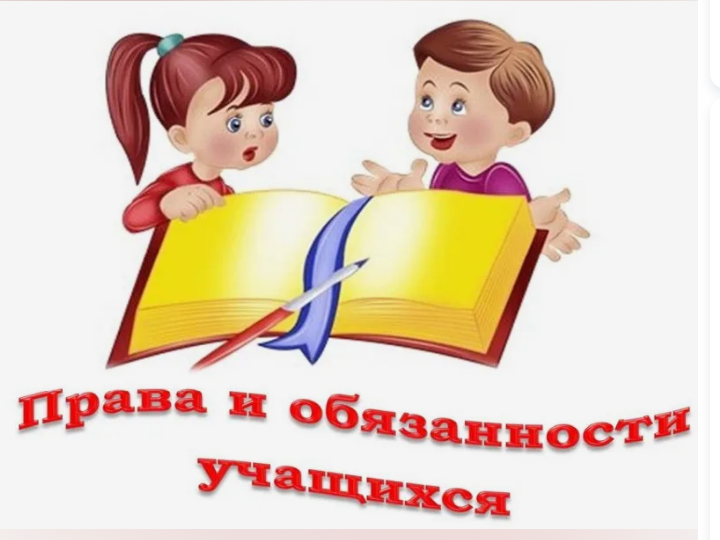 Правила обучения. Права и обязанности учащегося.